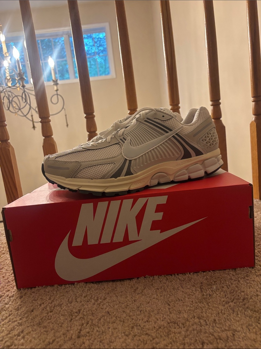 BRAND NEW Nike vomeros (with box)